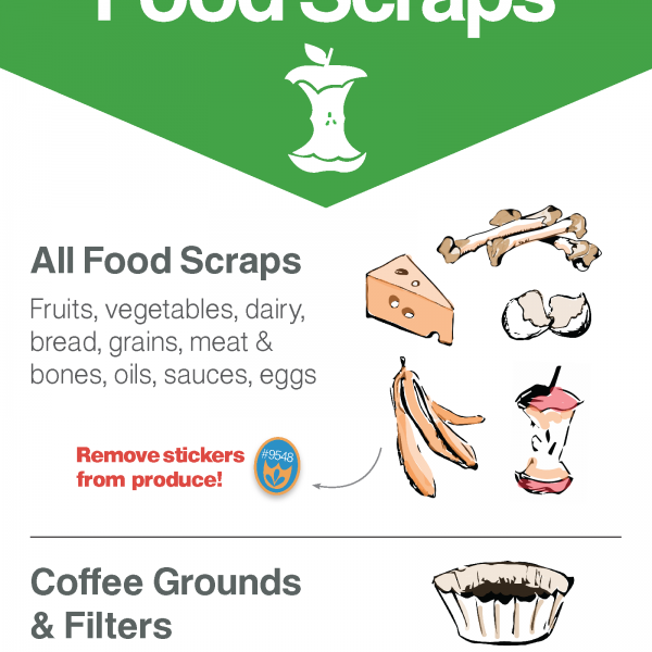 how to manage food scraps guide